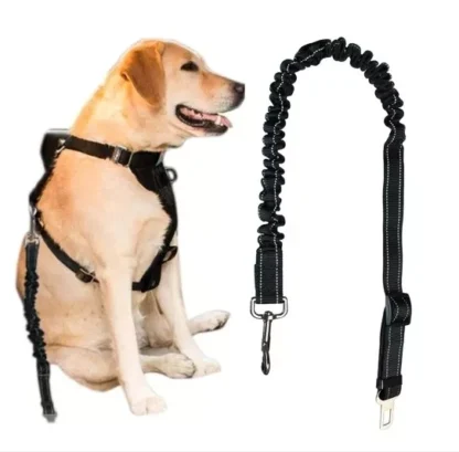 Pasy BezpieczeŃstwa Dla Psa Smycz Do Samochodu Auta