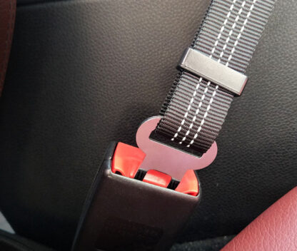 Smycz Do Auta Dla Psa Pas Bezpieczeństwa