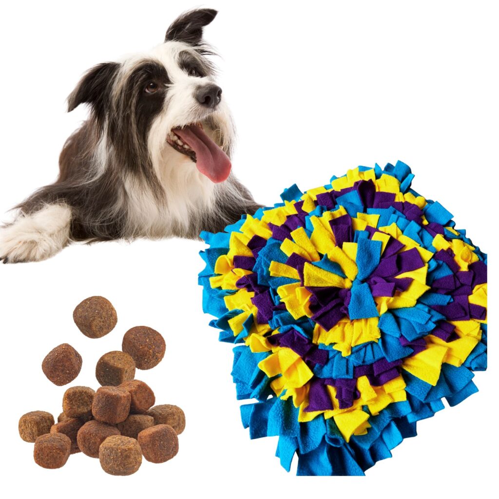 Mata Węchowa Dla Psa Edukacyjna (1)