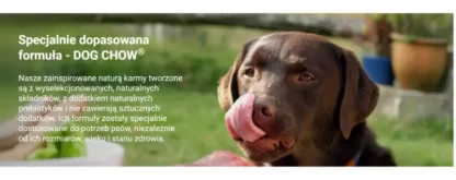 PURINA DOG CHOW PUPPY JAGNIĘCINA DLA SZCZENIĄT 2,5KG - 14KG