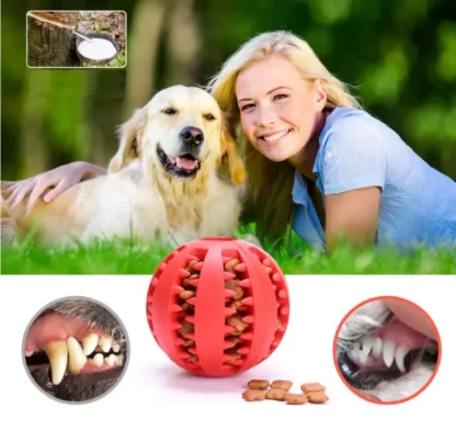 PIŁKA DLA PSA NA PRZYSMAKI GRYZAK GUMOWY