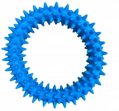 ZABAWKA DLA PSA GUMOWY GRYZAK KÓŁKO RINGO WYPUSTKI