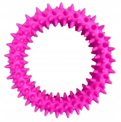 ZABAWKA DLA PSA GUMOWY GRYZAK KÓŁKO RINGO WYPUSTKI