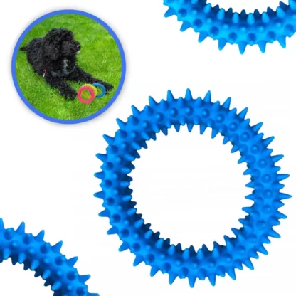 ZABAWKA DLA PSA GUMOWY GRYZAK KÓŁKO RINGO WYPUSTKI