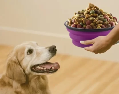 MISKA DLA PSA SKŁADANA SILIKONOWA TURYSTYCZNA MAŁA