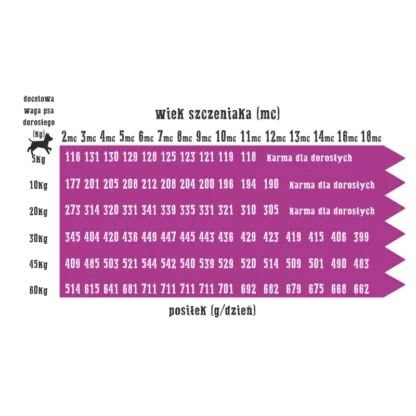 WIEJSKA ZAGRODA INDYK Z JABŁKIEM DLA SZCZENIĄT DUŻE CHRUPKI 2kg - 9kg