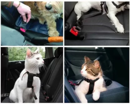 Pasy bezpieczeństwa dla psa kota smycz do samochodu