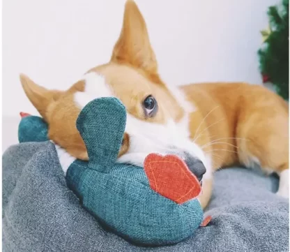 ZABAWKA DLA PSA KACZKA PLUSZOWA PISZCZĄCA 34CM