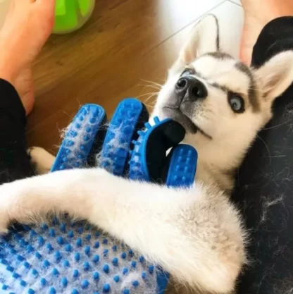 RĘKAWICA DO CZESANIA PSA KOTA SZCZOTKA GUMOWA DO SIERŚCI WYCZESYWANIA