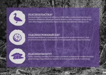 Passion Adult Small Medium Kaczka z batatami i pomarańczą małe średnie rasy 2kg - 6kg