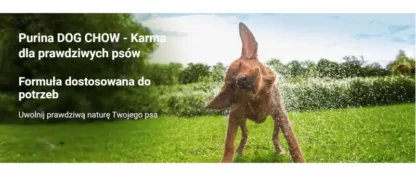 PURINA DOG CHOW MATURE JAGNIĘCINA KARMA SUCHA DLA PSA 2,5kg - 14kg