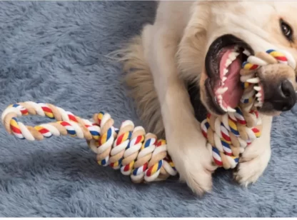 ZABAWKA DLA DUŻEGO PSA SZARPAK SZNUR BAWEŁNIANY XXL