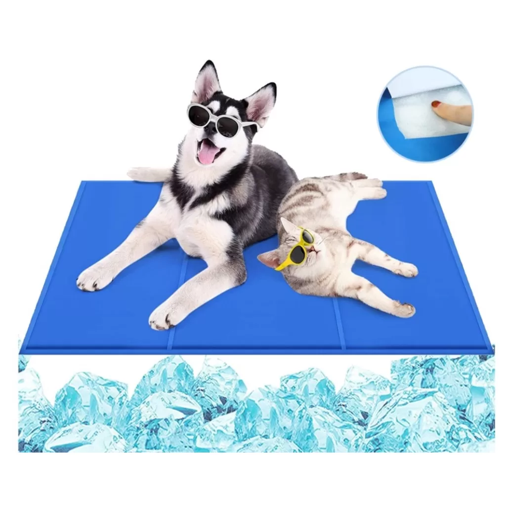 mata chłodząca dla średniego psa jack russela buldoga