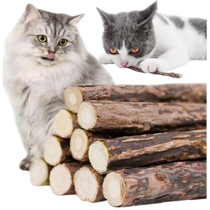 Patyczki Matatabi Dla Kota