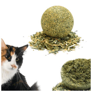 D076f9b9266c84bf8f2b0ae1ca11c0fc