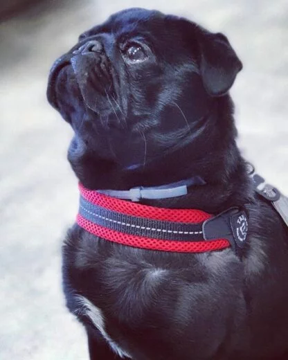 67402280 2128816707229924 8156420878272299008 N