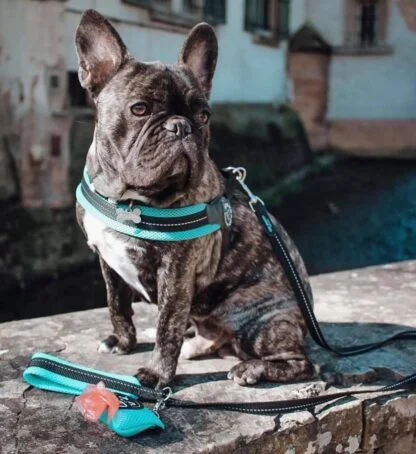 Tre Ponti Mesh Mieta2