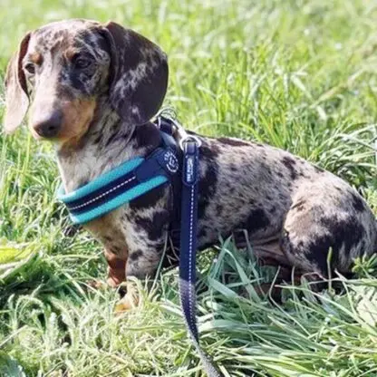 Tre Ponti Mesh Mieta4