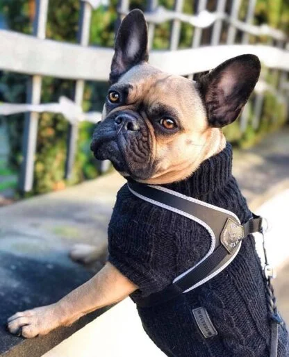 Tre Ponti Szelki Dla Psa Czarne3