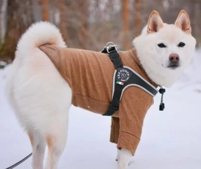 Tre Ponti Szelki Dla Psa Czarne7