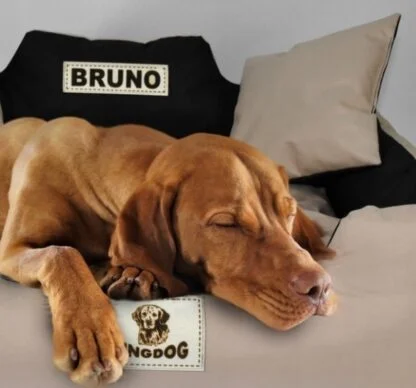 22f08191c5c9d2c87a5cd84c105aee73 1.jpg