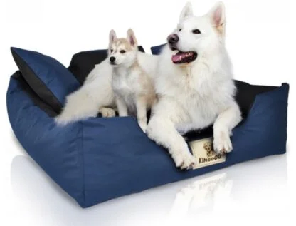 262ce94013f243a2fd927bf3e5dca4f4 1.jpg