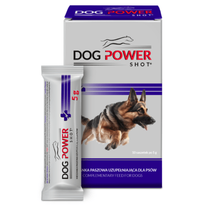 dog power shot energia dla psów