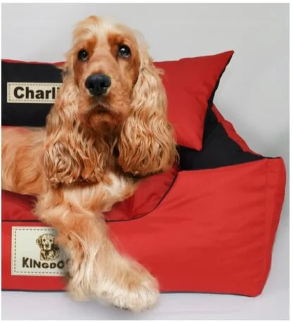 93b45a7df9d7ae537a8f3ad037633127 1.jpg