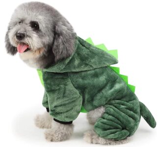 śmieszne ubranko dla psa smok