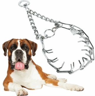 Obroża Dla Psa Kolczatka