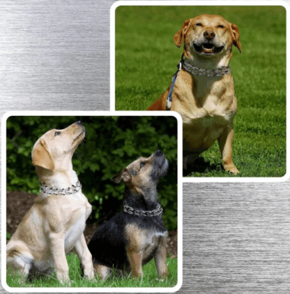 Obroża Dla Psa Kolczatka Metalowa