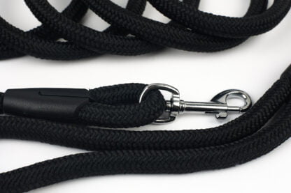 Smycz dla psa lina treningowa 5m Paw Planet