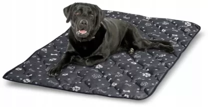 Mata Dla Psa Kości Srebrne 3