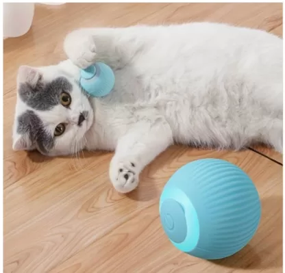 Uciekająca Piłeczka Dla Kota