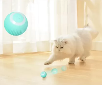 Uciekająca Piłka Dla Kota