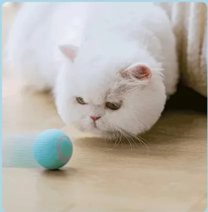 Uciekająca Piłka Dla Kota Niebieska