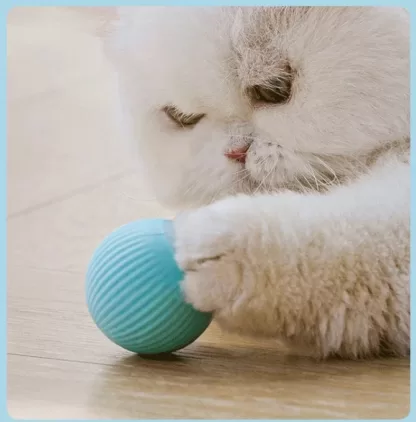 Uciekająca Pilka Dla Psa Kota