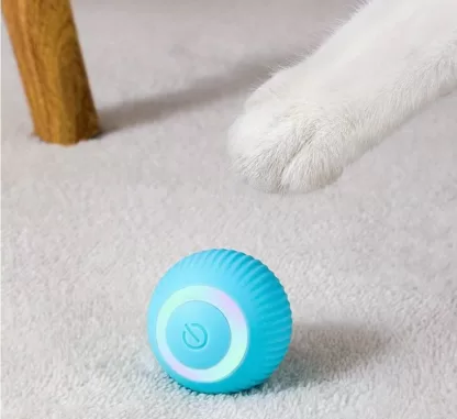 Uciekająca Zabawka Dla Kota