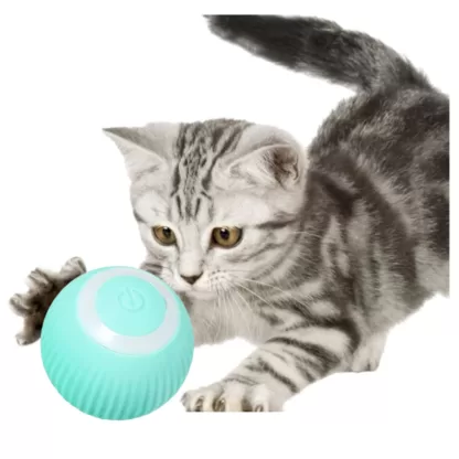 Uciekająca Zabawka Dla Kota