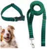 Smycz i obroża dla psa regulowana