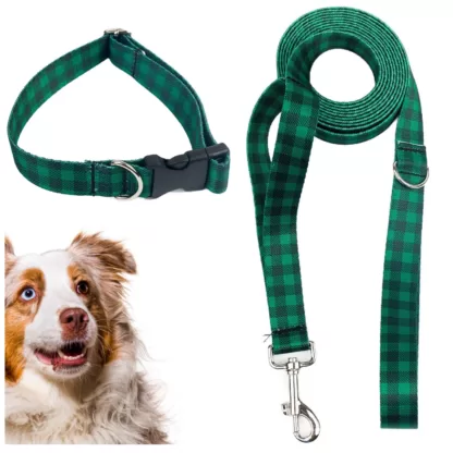 Smycz i obroża dla psa regulowana