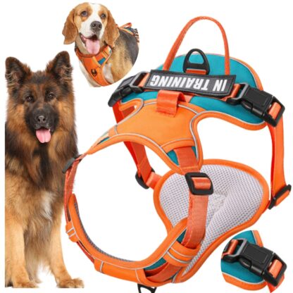 Szelki Dla DuŻego Psa Guardy