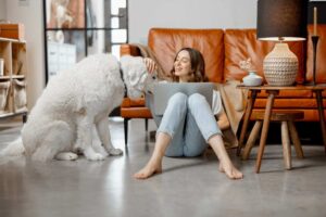 Pies Nie Moze Znaleźć Miejsca