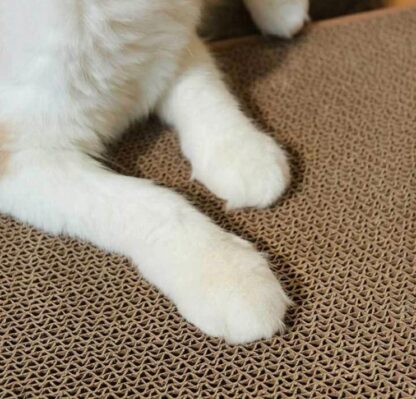 Drapak Narożny Dla Kota Tekturowy