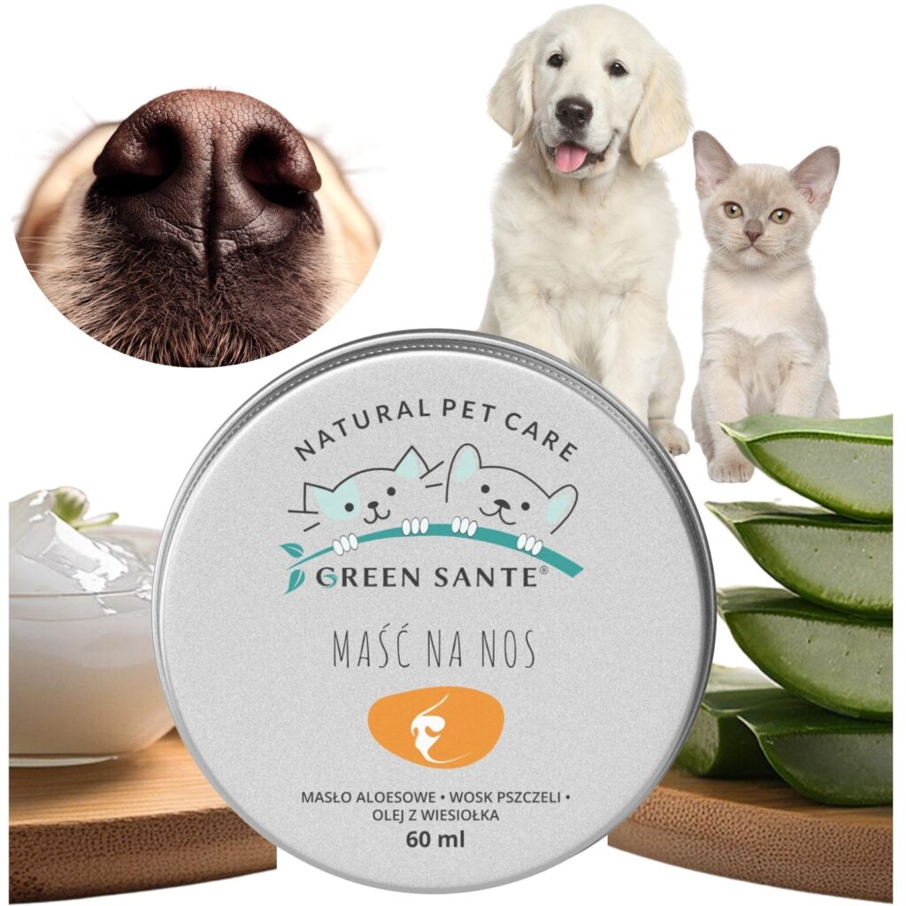 Maść na nos dla psa kota naturalna bez chemii.