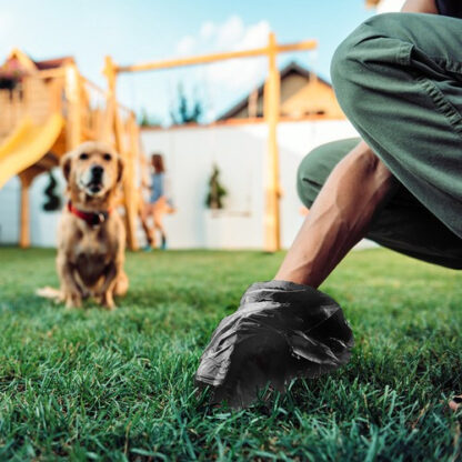 Woman Picking Up Dog Poop From The Lawn