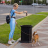 People Working As Dog Sitter, Girl With French Poodle Dog In Park. The Young Hispanic Woman Picks Up Her Pet's Poo With Plastic Bag.
