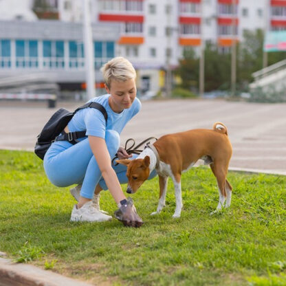 People Working As Dog Sitter, Girl With French Poodle Dog In Park. The Young Hispanic Woman Picks Up Her Pet's Poo With Plastic Bag.
