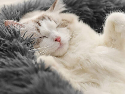 14d2d450dbc837fc5a1ef299504481ce 2.jpg