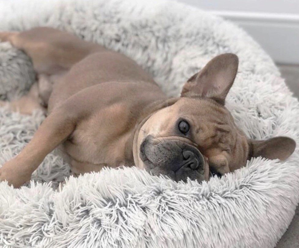 Włochate legowisko chmurka shaggy 70cm.